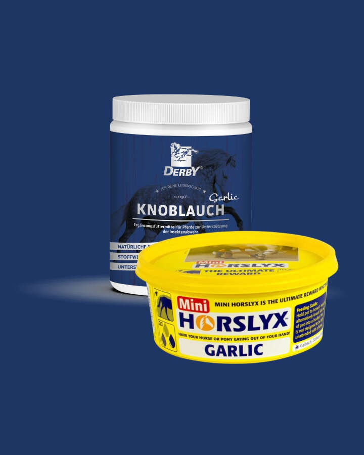 DER sommerprodukte 03 2